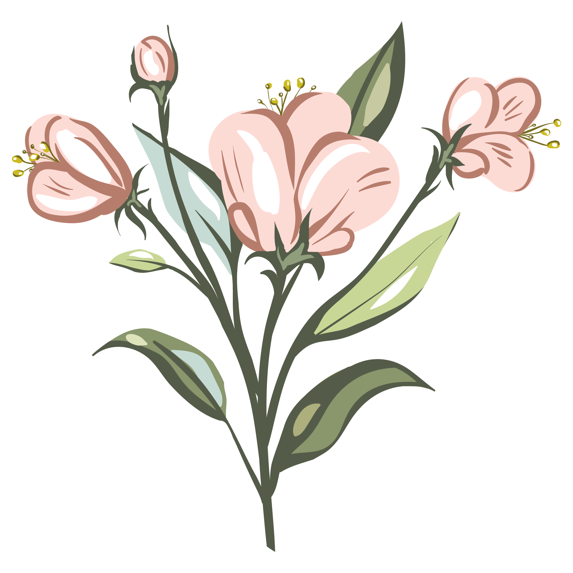 Pink Flower Illustration