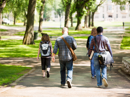 Less Scrolling, More Strolling-Nature Well-being in the work place.