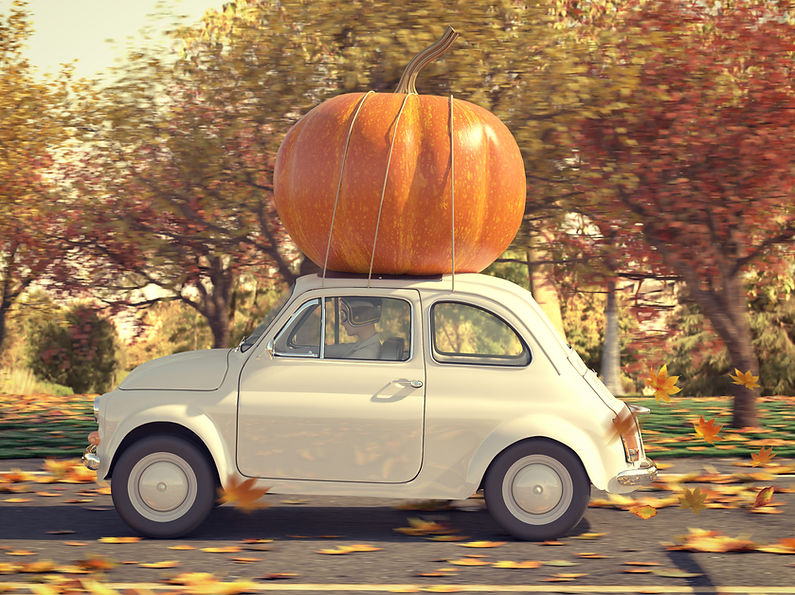 Autumn scene with a little car driving on a leaf-covered road carrying a giant pumpkin