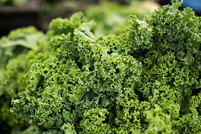Fresh Kale