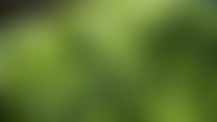 Let's Break Down Carbs