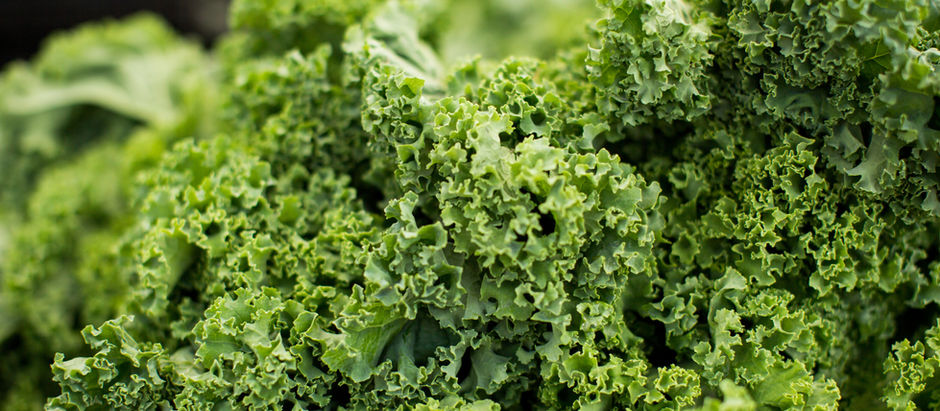 Healthy Snack: Kale Chips