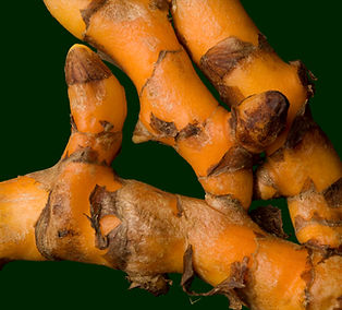 Fresh Turmeric Roots