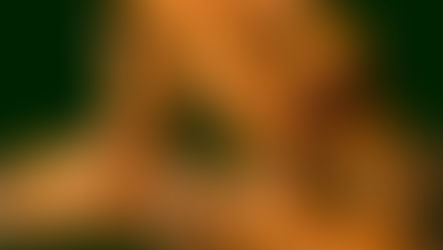 Close-up of vibrant orange turmeric roots with brown peels, on a dark green background. The texture is rough and earthy.