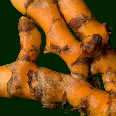 The Myth of the Big Number: Why Curcumin Bioavailability Matters More Than Dosage