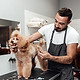 Grooming Salon