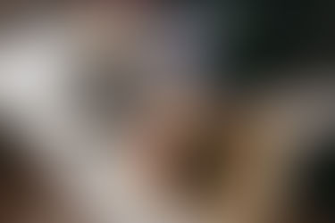 Ogłoszenia parafialne 02.04.2023 Niedziela Palmowa