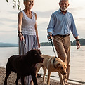 Paar beim Spaziergang mit Hunden