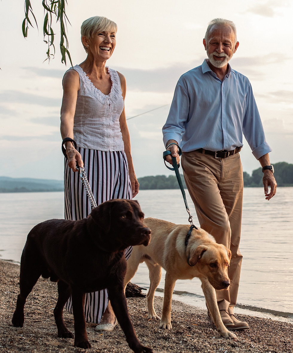 Couple Walking Dogs