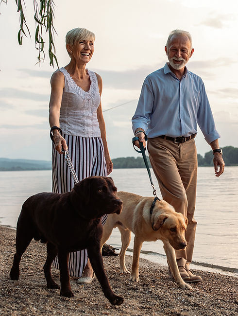 Elderly Couple with Dogs