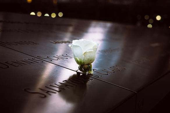 Memorial White Rose