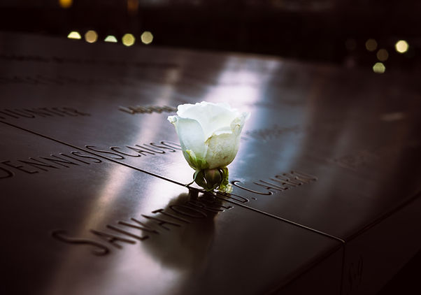 White Rose Tribute