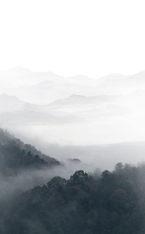 Nebelige Berglandschaft