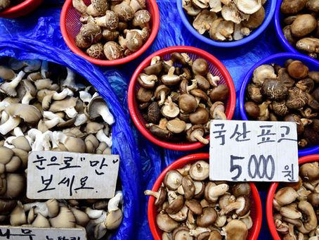 Food as Medicine: Shiitake Mushroom Soup