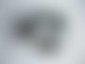 Nutrient Spotlight: Omega 3