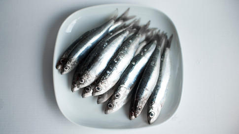 sardines