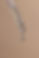 Pipette Dropper