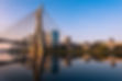 Ponte Estaiada
