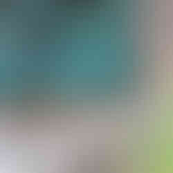 Distressed shutter on stone wall, The Power of Neutral Colour Palette in Home Decor