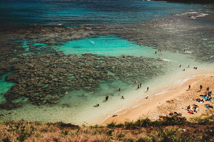 Aerial View of Beach