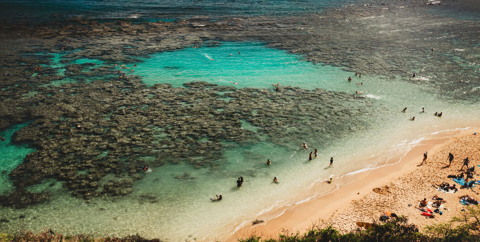 Aerial View of Beach