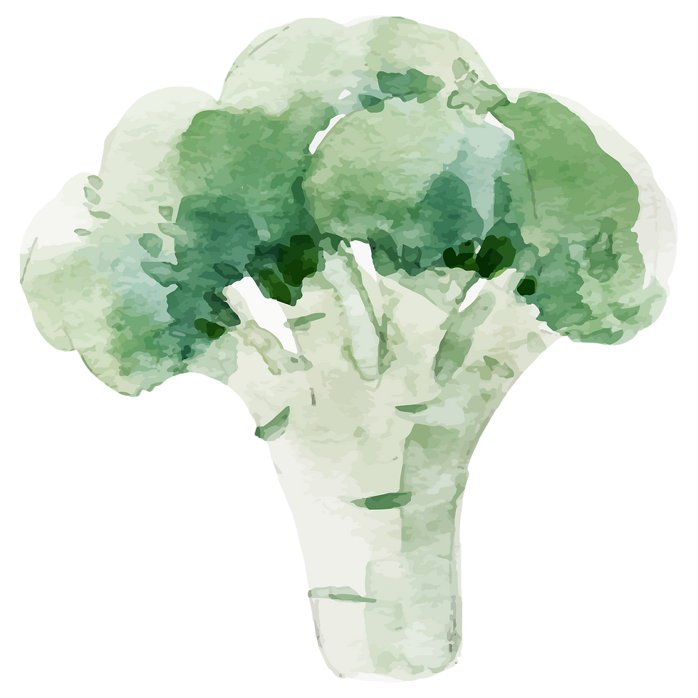 Watercolor Broccoli Illustration