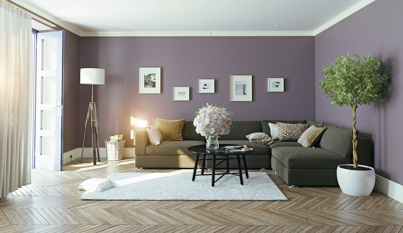 modern living room interior with purple wall and sofa