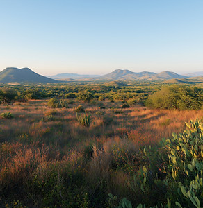 Desert Landscape View