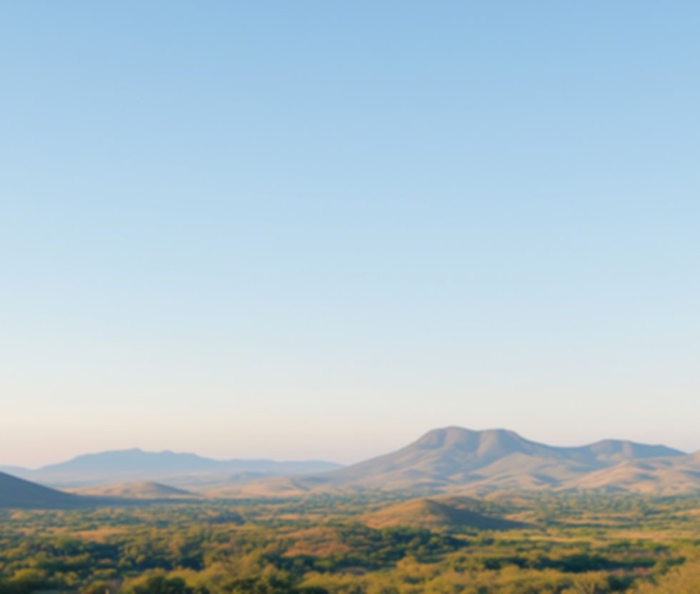 Desert Landscape at Sunrise