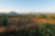 Desert Landscape at Sunrise