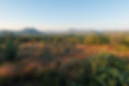 Desert Landscape at Sunrise