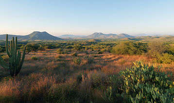 Desert Landscape View