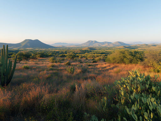 Green Disruptors Podcast: Energy With Integrity