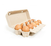 Egg Carton Display