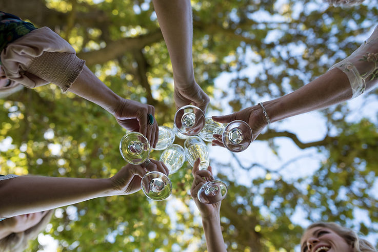Champagne Toast Outdoors