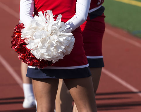 Pom Poms