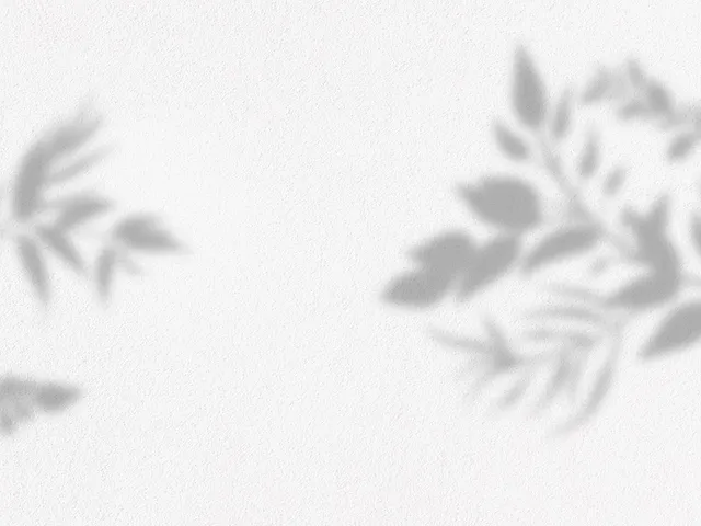 Mindfulness Yoga Egitimi Egitmeni Mindfulhumanstudio Turkiye