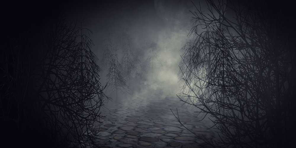 美術館に出掛ける#3 ルドンの光