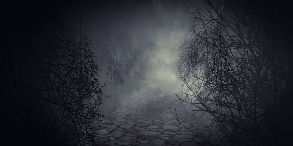 Dark street with fog and bare trees