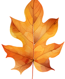 Orange Autumn Leaf