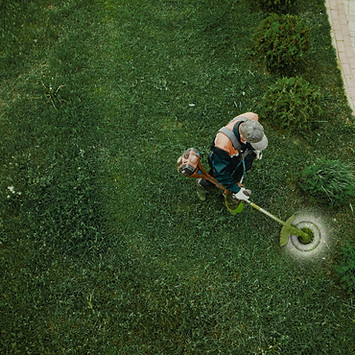 cortadora de césped