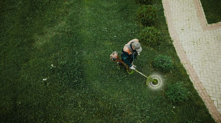 Morgandale Lawn Service