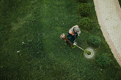 aerating and dethatching