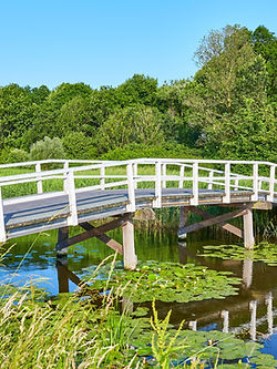 Anna is als een brug