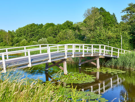 Estate and Probate Real Estate in Northern Virginia: When It's Not Just Your Decision to Make