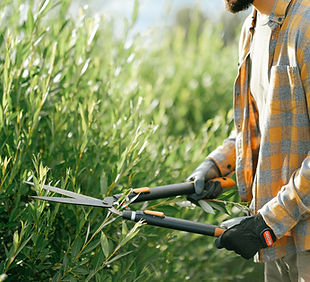 Muž prořezává keře