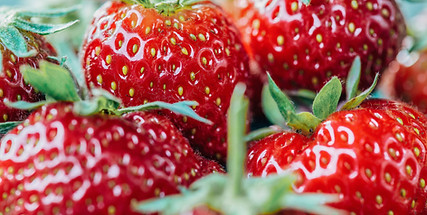 Fraises