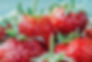 A Berry British Obsession