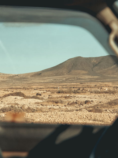 CAR impulsa iniciativas que mitiguen la desertificación y sequía en los suelos del territorio