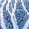 Snowy Forest
